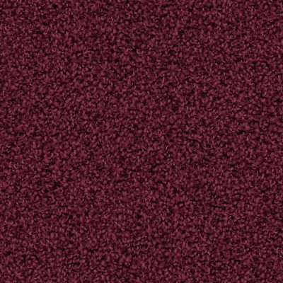 1Q63_SALLY_Einzel_web