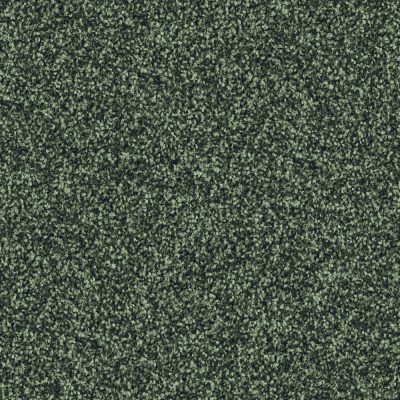 4J40_HARRY_Einzel_web