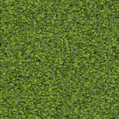 4J41_HARRY_Einzel_web