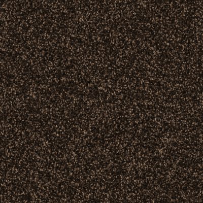 7H91_HARRY_Einzel_web