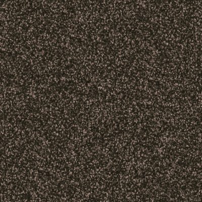 7H92_HARRY_Einzel_web