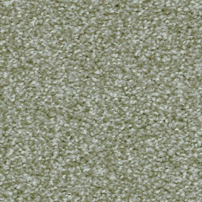 8M04_HARRY_Einzel_web