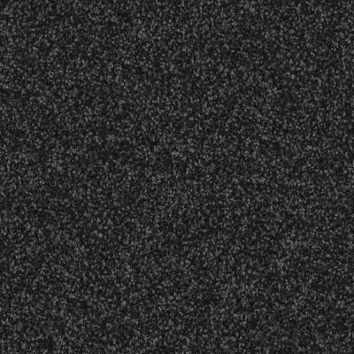 9H64_HARRY_Einzel_web